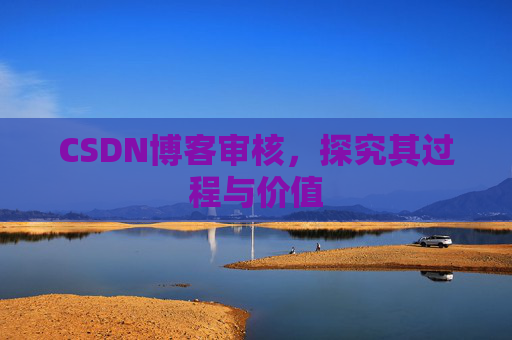 CSDN博客审核,探究其过程与价值